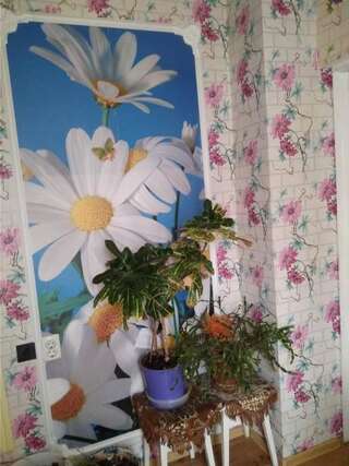 Апартаменты квартира Одесса Апартаменты с 1 спальней-21