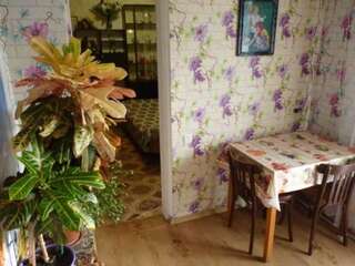 Апартаменты квартира Одесса Апартаменты с 1 спальней-22