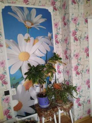 Апартаменты квартира Одесса Апартаменты с 1 спальней-5